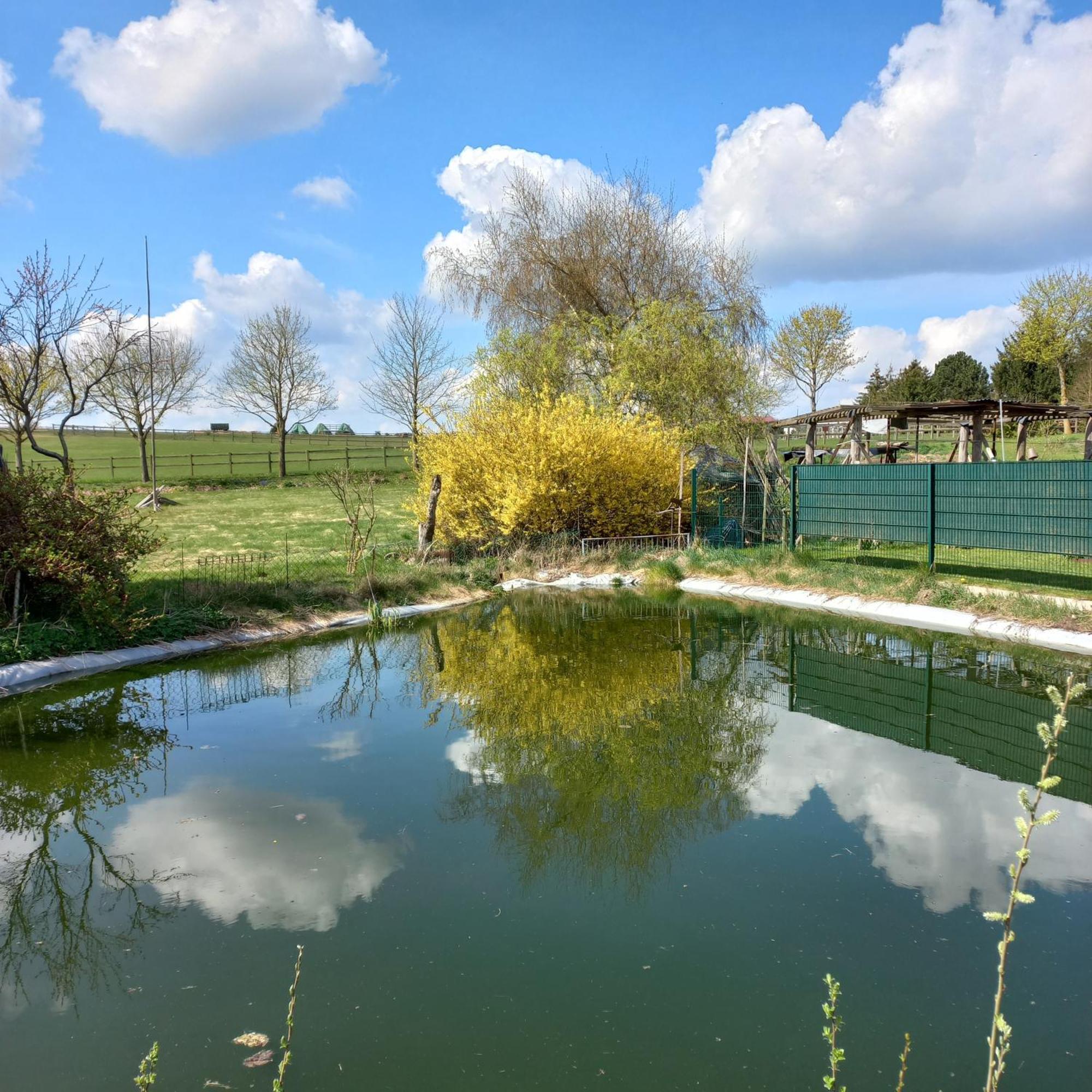 Zimmer Und Apartment Rosi Krakow am See Buitenkant foto